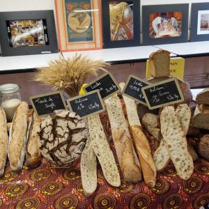 20230511 203500 300x300