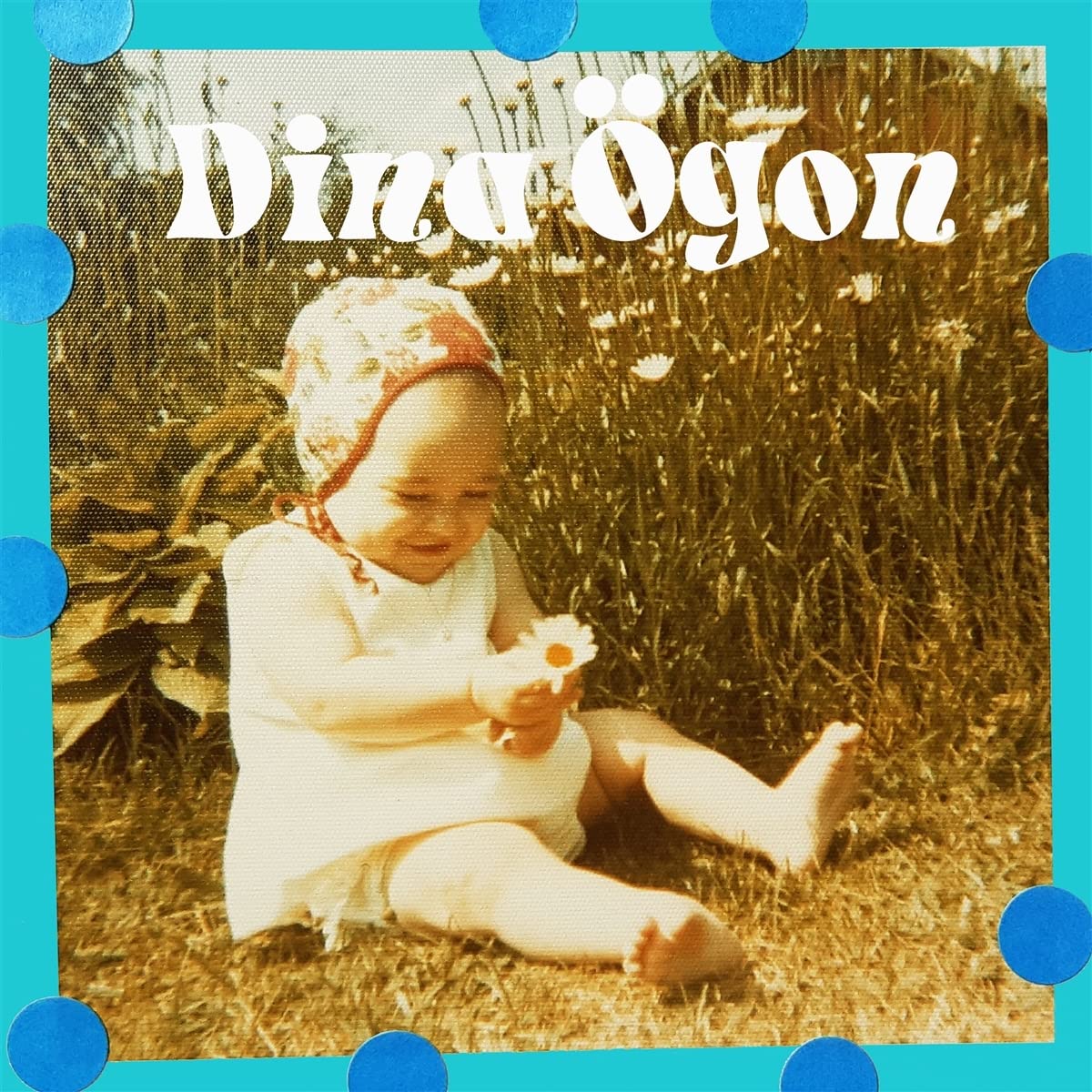 Dina Ogon 2023 Oas