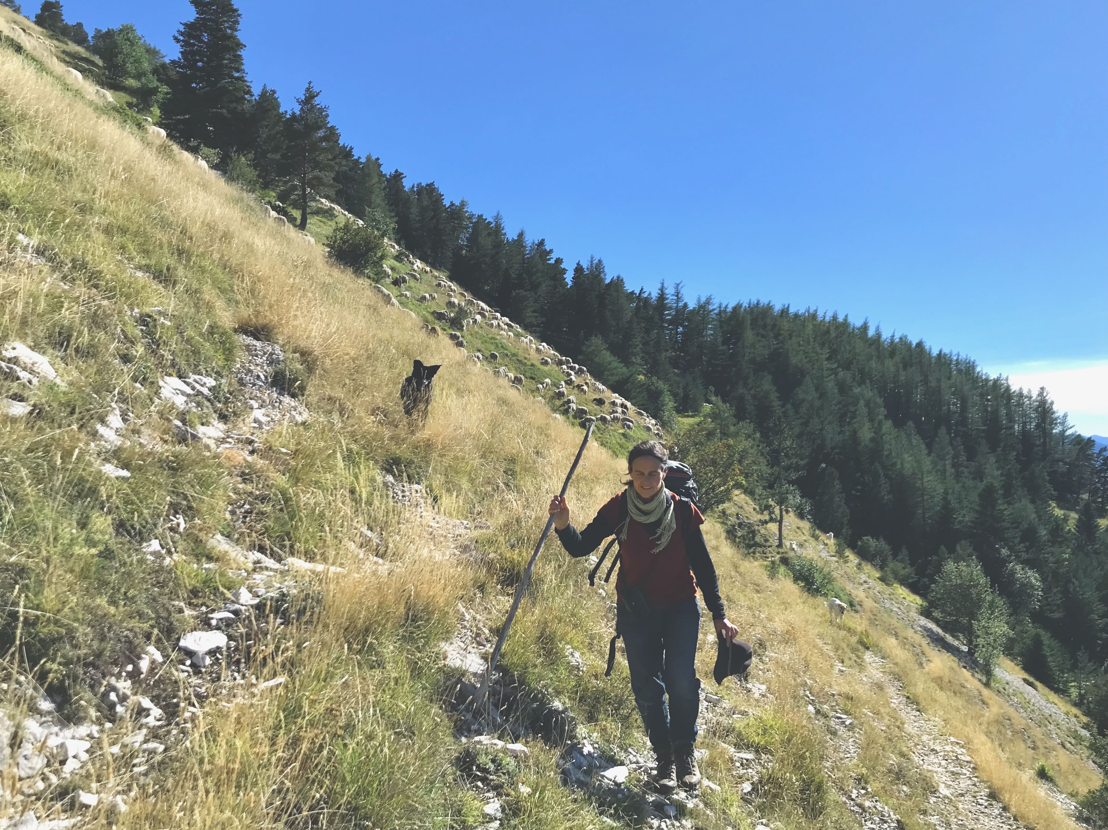 E3 Corinne marche deface