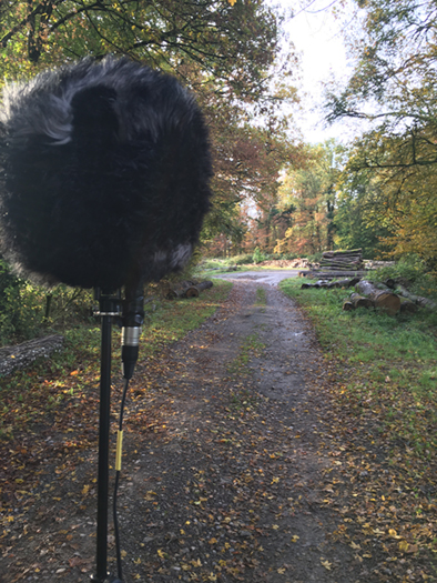 ECHAPPEES 202504716 MesangeBleue