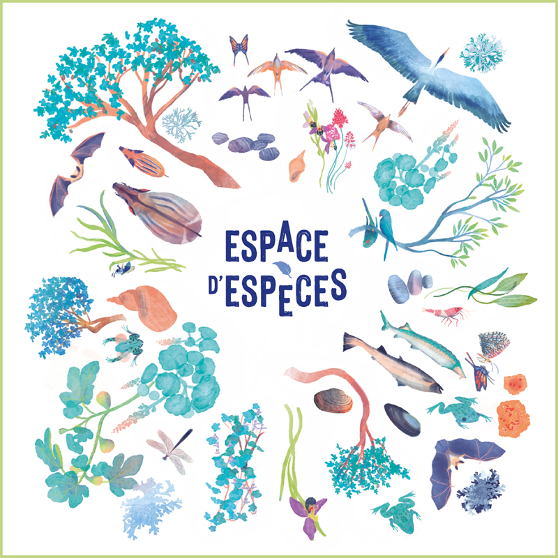 Espace despeces