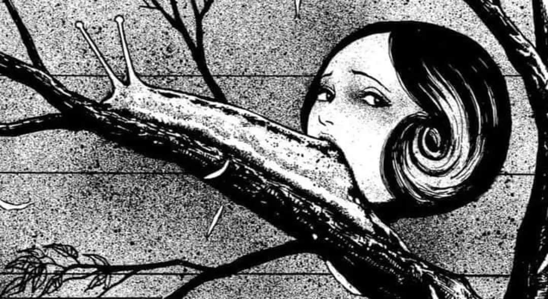 FB IMG 1710943402740