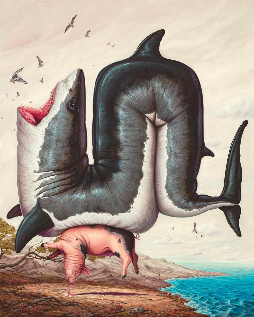 FB IMG 1714500858419