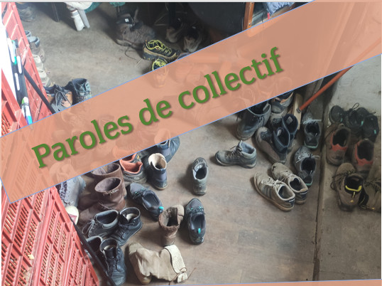 Paroles collectifs3