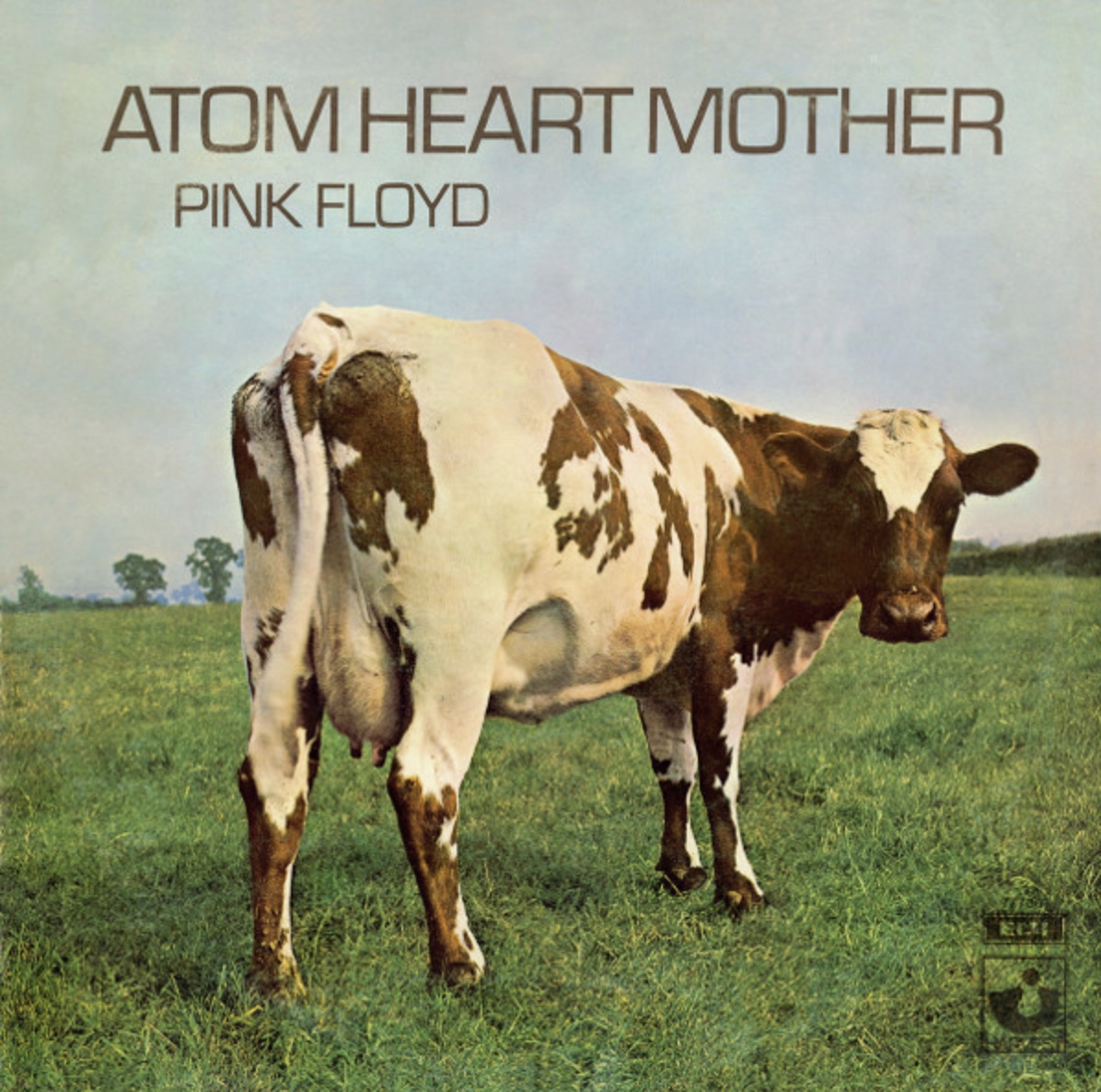Pink Floyd Atom Heat Mother