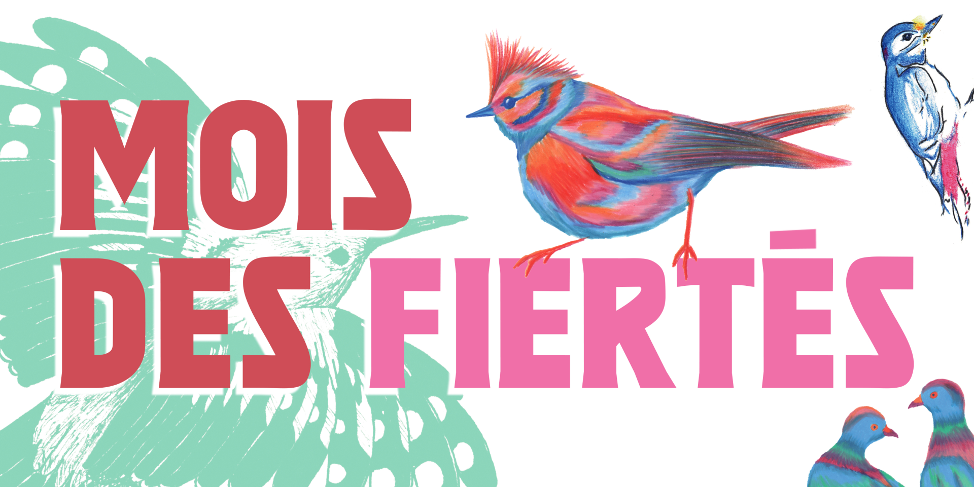 Pride Visuels Bandeau Mois des fiertes4