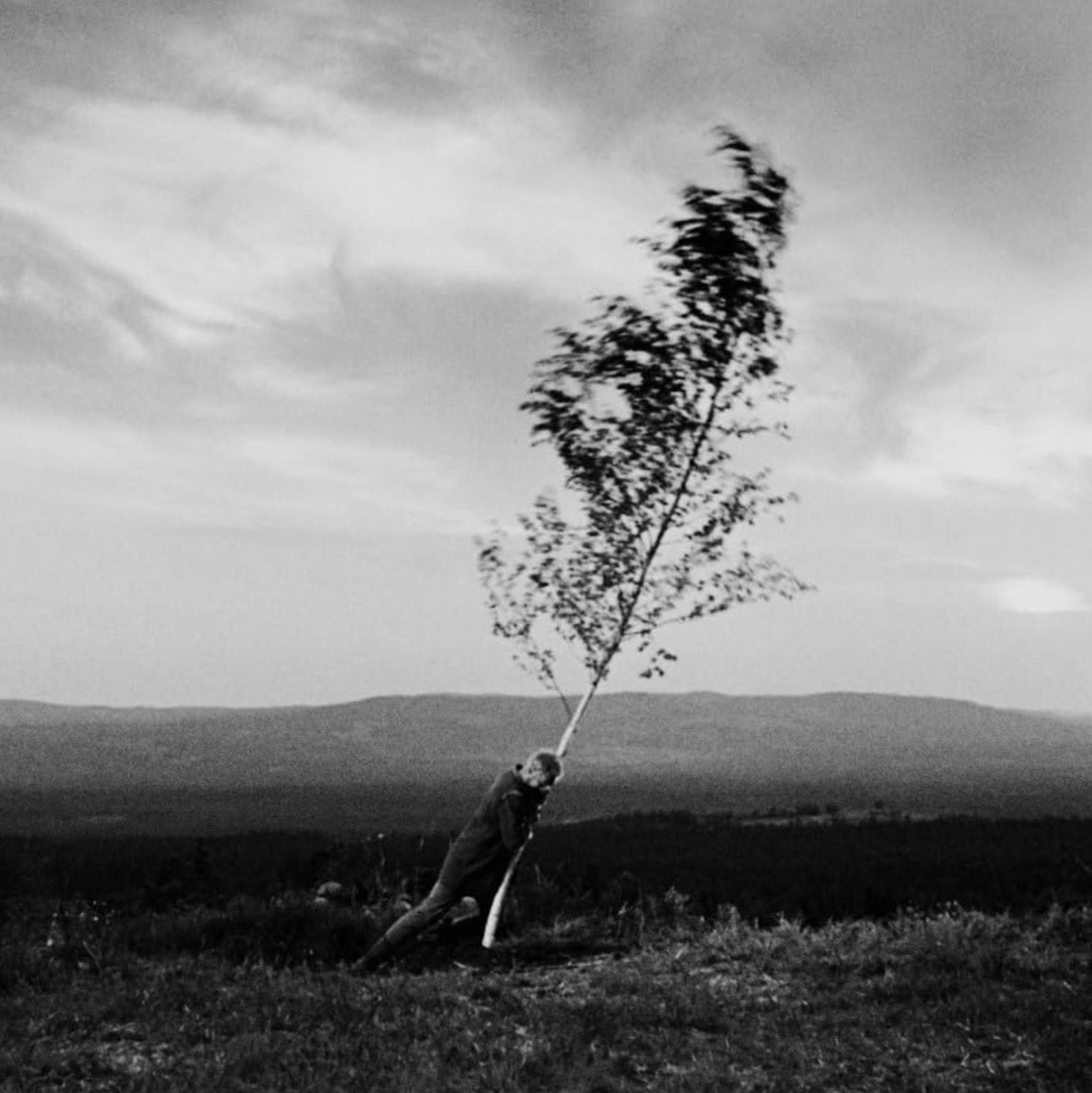 Rodolphe Burger Avalanche