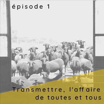 Screenshot 2022 06 07 at 10 00 37 Transmettre laffaire de toutes et tous