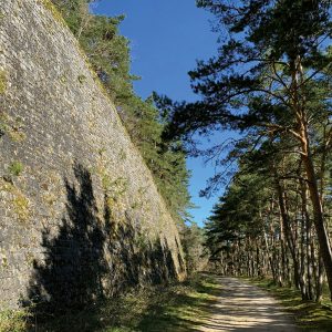 Transcevenole1 300x300