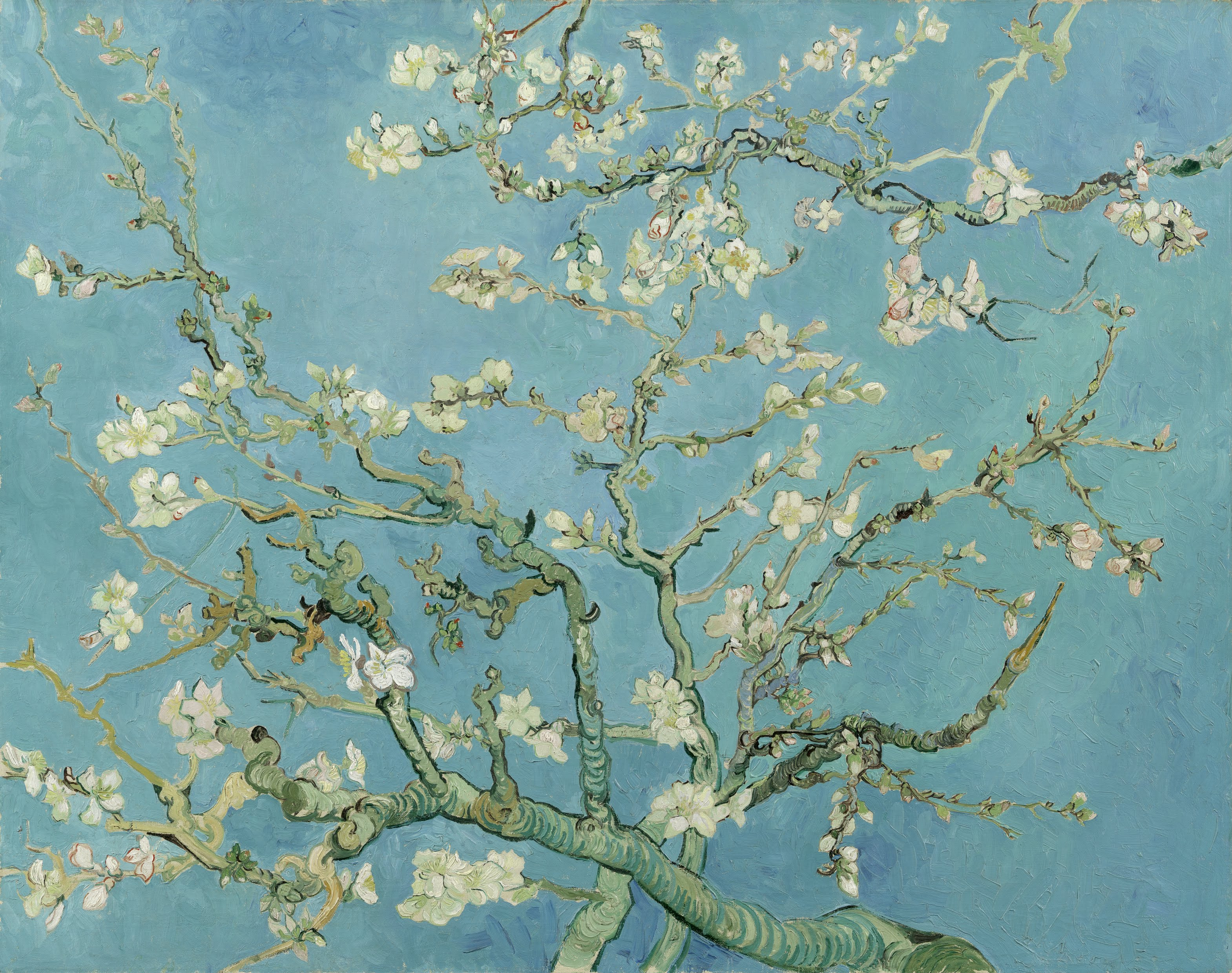 Vincent van Gogh Almond blossom Google Art Project2
