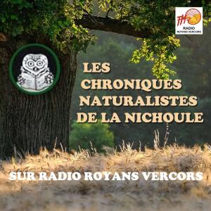 Visuel la Nichoule radio royans vercors PC