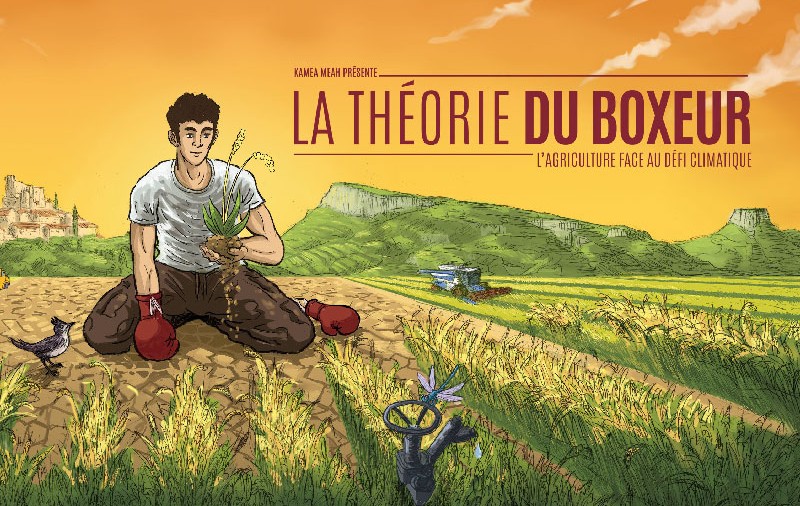 illustration theorie boxeur