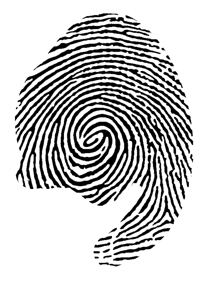logo archi empreinte