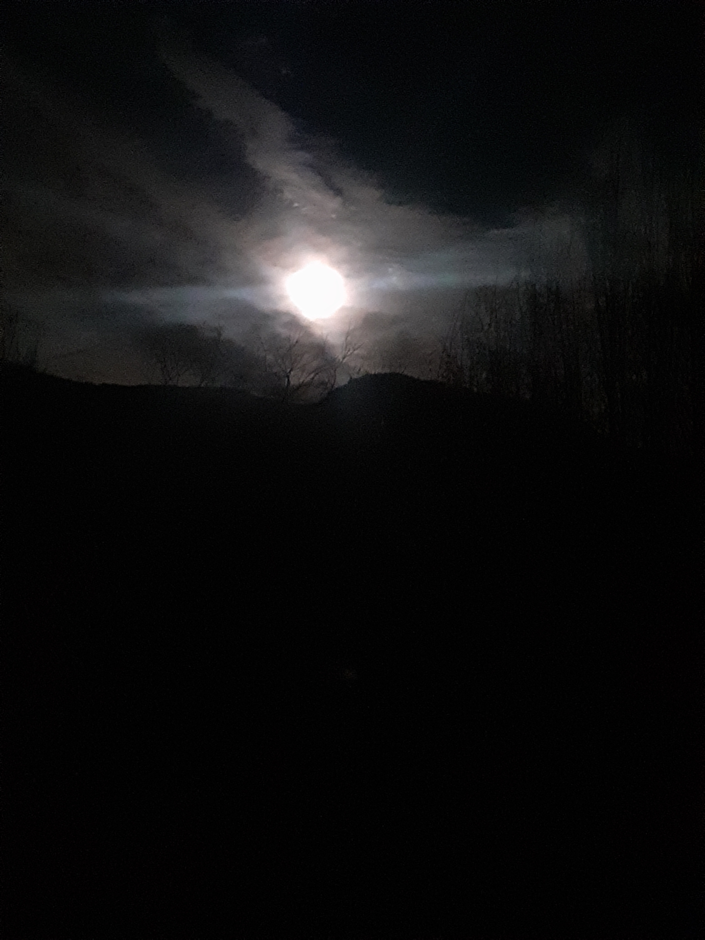 lune loup