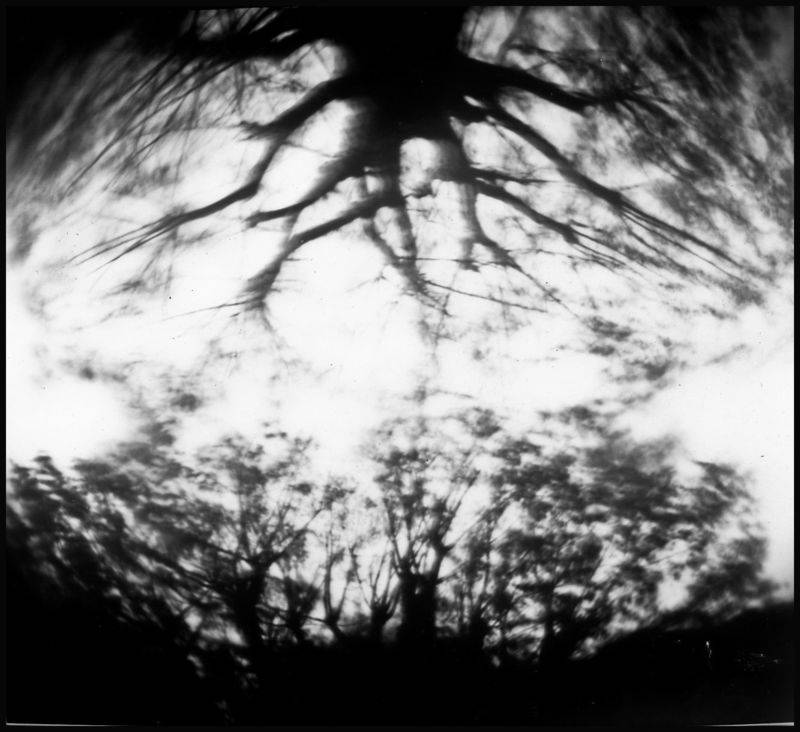 w800 q70 m1649807520 cropped 1649807515551