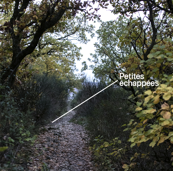 Image 1681984189