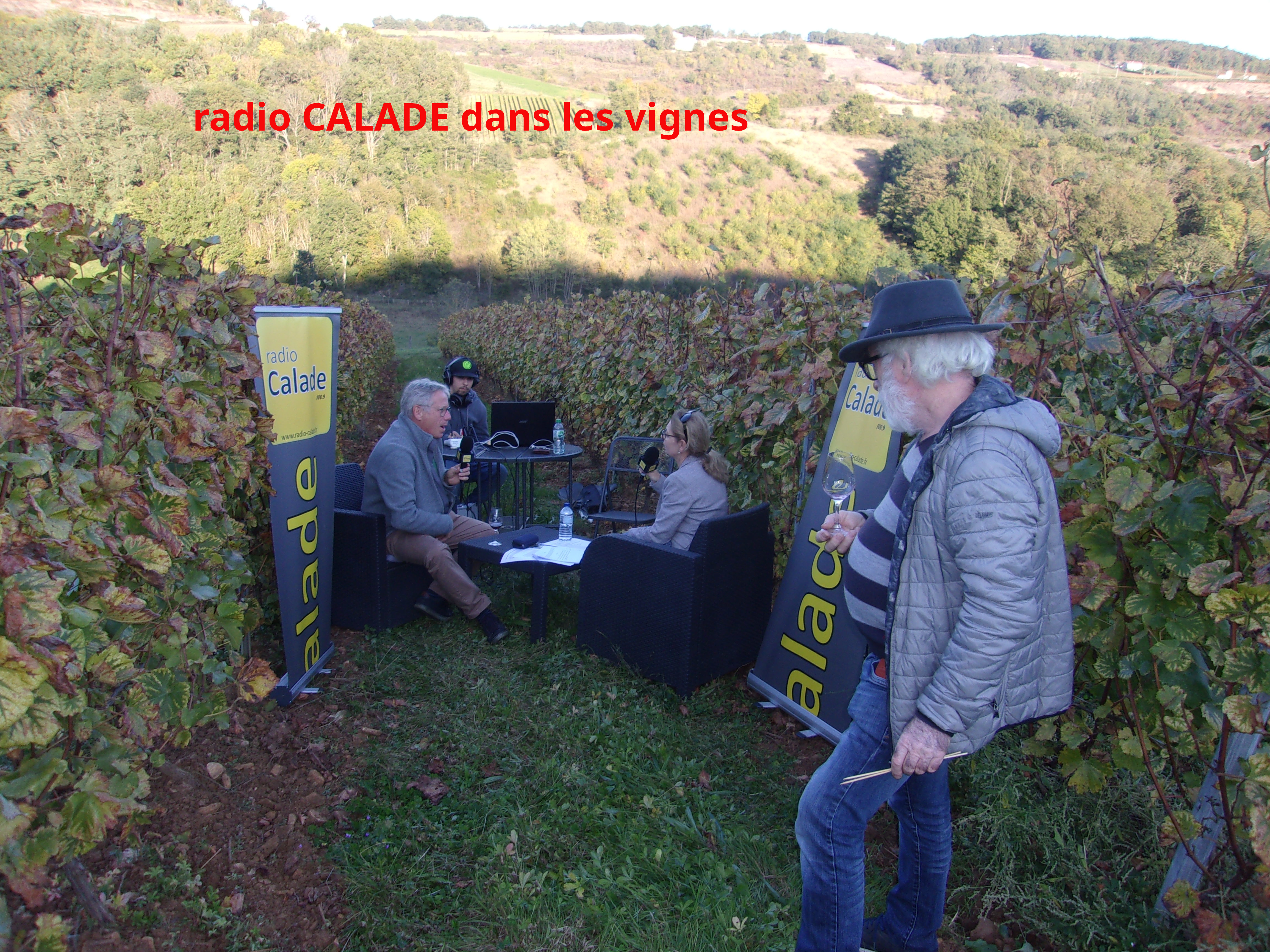 1 DANS LES VIGNES