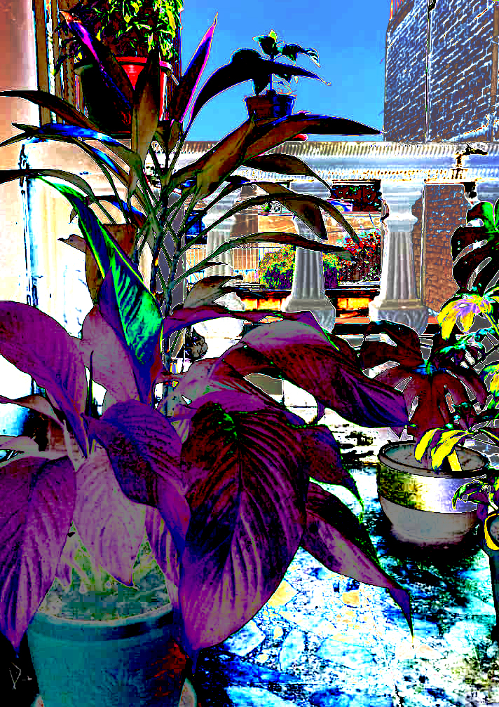 634