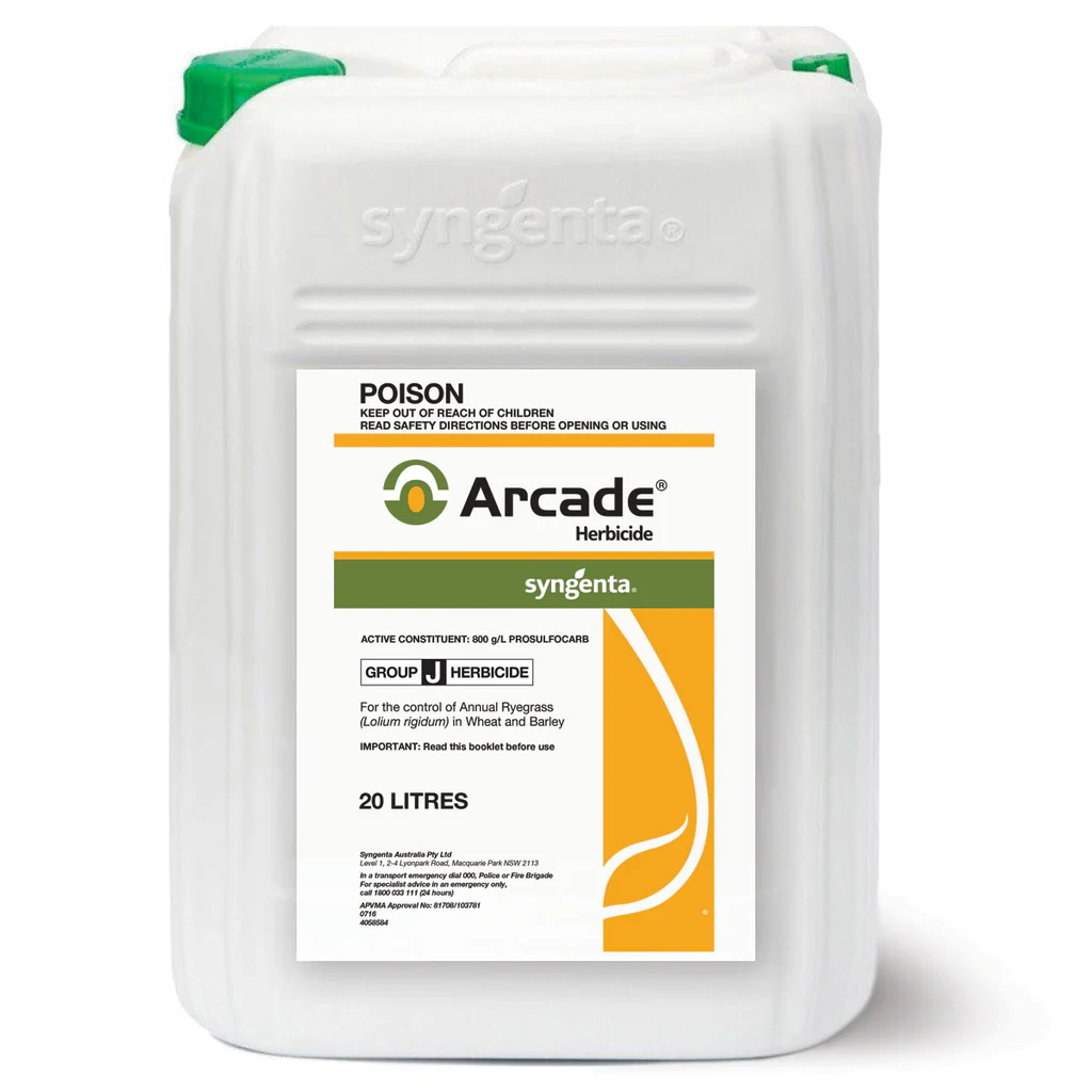 Arcade20L 1024x1024