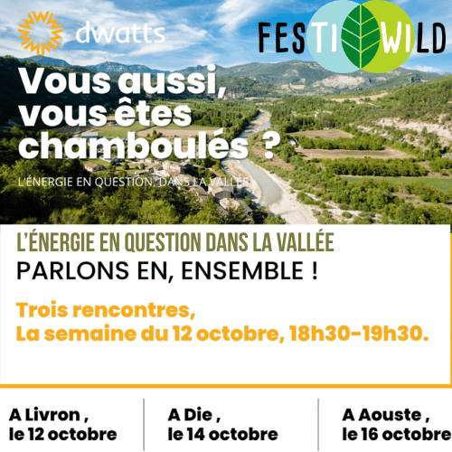 Vignette MASP DWatts festiWild