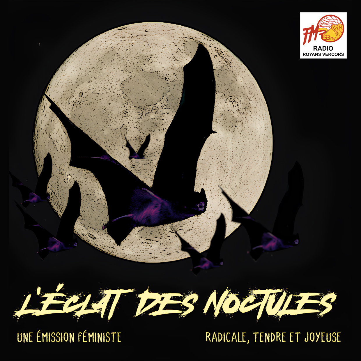 Visuel Noctules radio royans vercors PC3