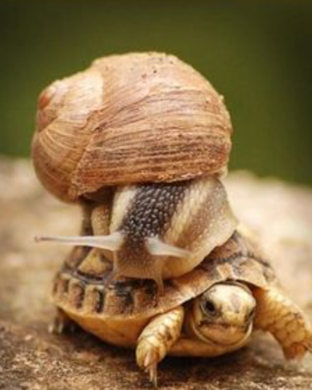 run